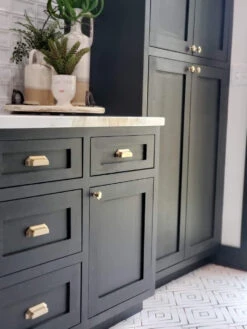 Liberty 3" Cup Pull Champagne Bronze -D'Lawless Hardware Shop 20220127 082835 44891.1675195538