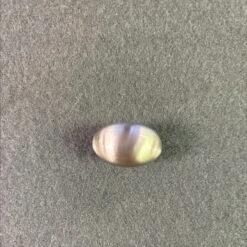 1" Avante Oval Knob Satin Nickel