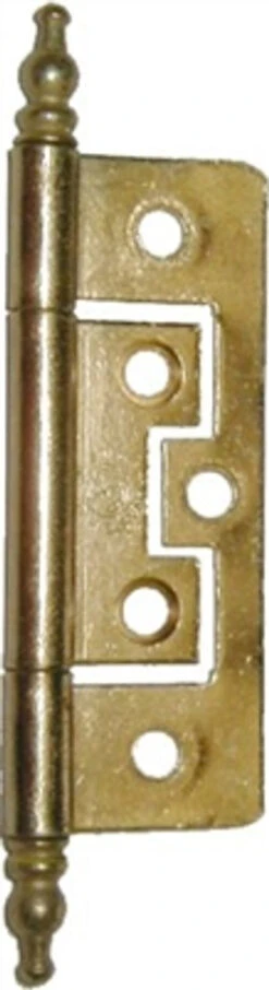 No Mortise Brass Plated Steel Hinge