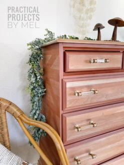 Liberty 3-3/4" Acrylic Bar Pull Champagne Bronze And Clear 10 Liberty 3-3/4" Acrylic Bar Pull Champagne Bronze And Clear -D'Lawless Hardware Shop P42222W 720 C 6 2 55269.1642518232