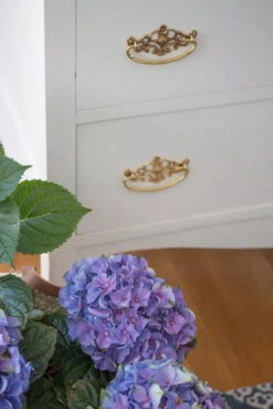 3" Crowned Open Lace Bail Pull Solid Brass 30 3" Crowned Open Lace Bail Pull Solid Brass -D'Lawless Hardware Shop brass bail pulls 1 40154.1646841221