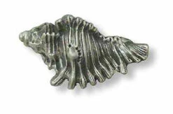 Liberty 2" Shell Knob Brushed Satin Pewter