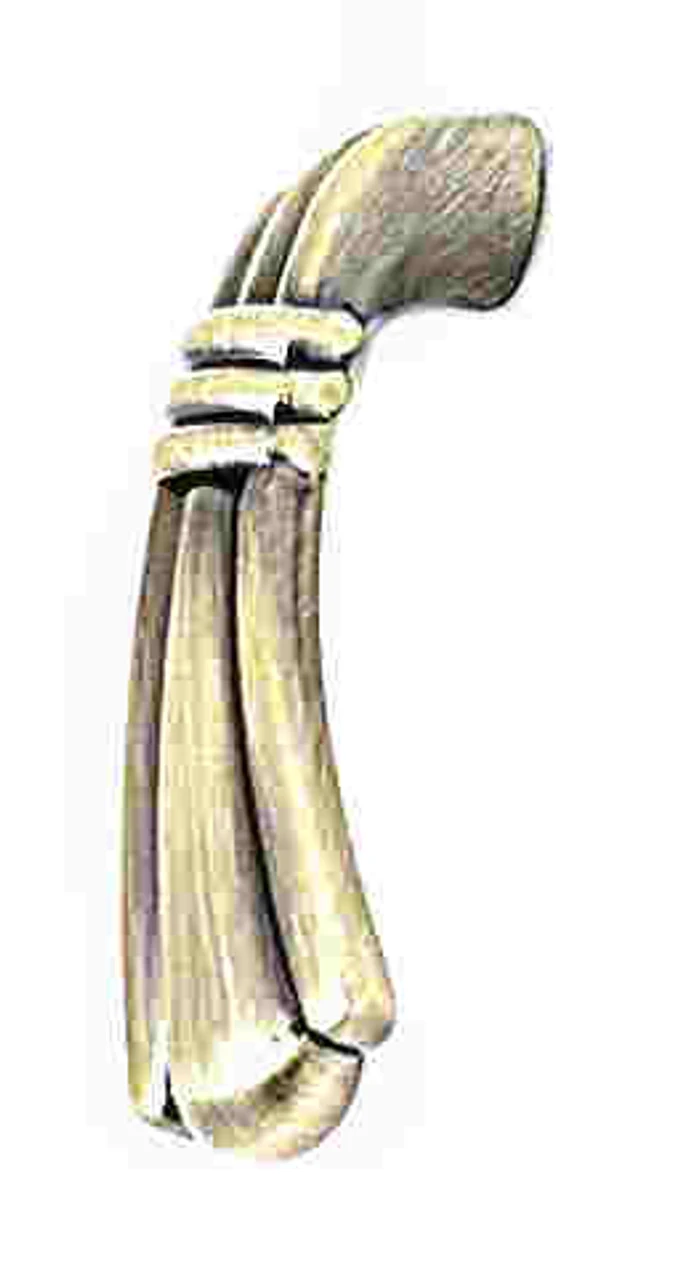 Liberty 2-1/4" Bundled Reed Finger Pull Antique Bronze 1 Liberty 2-1/4" Bundled Reed Finger Pull Antique Bronze