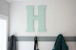 Three Prong Coat Hook - Satin Nickel - 4 1/4" -D'Lawless Hardware Shop coat hook in basement mudroom 1 98980.1660143760