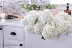 Liberty 2-1/2" Or 3" Dual Mount Cup Pull Flat Black -D'Lawless Hardware Shop flat black cup pulls 1 85070.1646422457