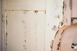 Liberty 1-1/4" Ball Knob Clear Glass With Polished Nickel Base -D'Lawless Hardware Shop glass with chrome base knob 1 23788.1684161238