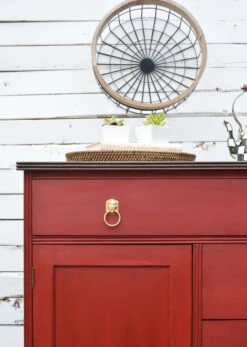 2-3/8" Lion Head Design Ring Pull Polished Brass -D'Lawless Hardware Shop lion head design ring pull 2 3 8 4 43824.1645203404